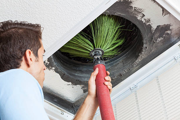 Best Air Duct Mold Removal  in Satellite Beach, FL
